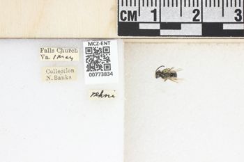 Media type: image;   Entomology 773834 Aspect: Labels